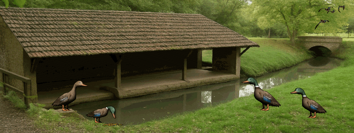 lavoir15