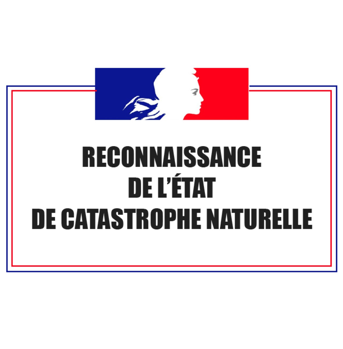 Reconnaissance-catastrophe-naturelle