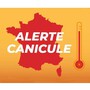 canicule